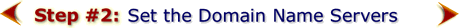 Paraglide's own Domain Name and Hosting Services